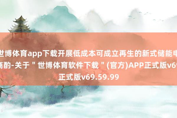 世博体育app下载开展低成本可成立再生的新式储能电板时刻商酌-关于＂世博体育软件下载＂(官方)APP正式版v69.59.99